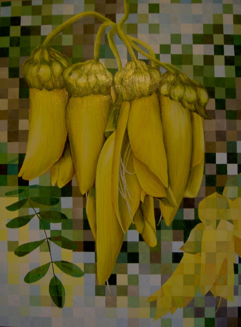 kowhai flowers abstract