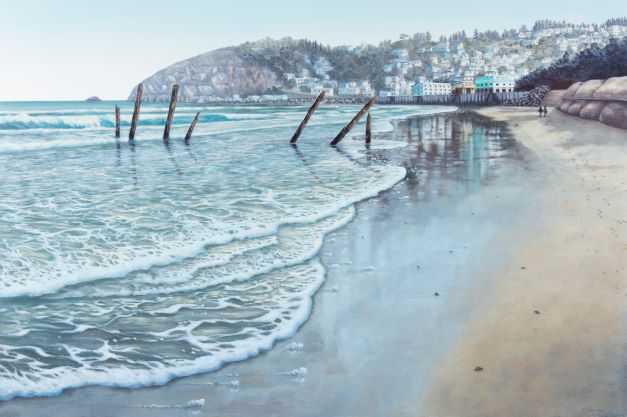 st clair Dunedin at low tide with poles midday